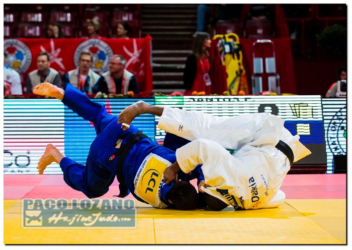 Paris 2014 by P.Lozano cat -90 kg_PLM2588